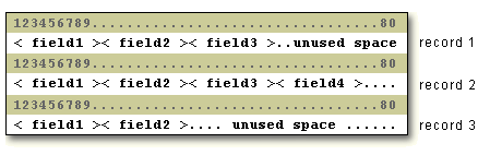 fixed-length record format