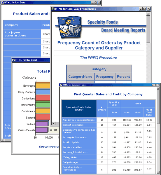 SAS Enterprise Guide reports